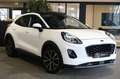 Ford Puma 1.0 EcoBoost Hybrid Titanium Pano Navi Led B&O Cam Blanco - thumbnail 5