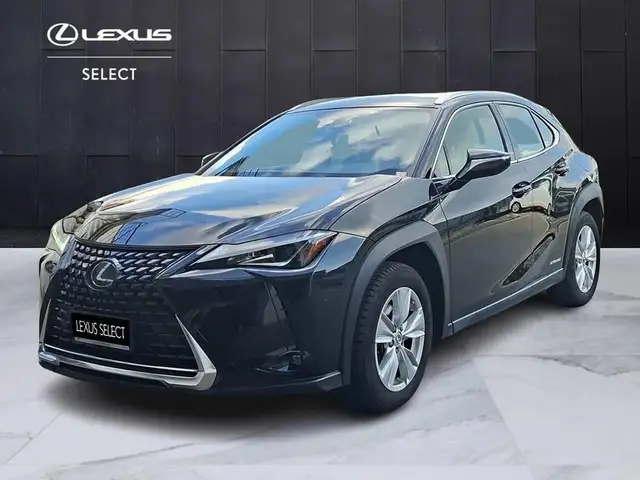 Lexus UX 250h Business 2wd cvt my20