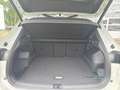 Volkswagen Tiguan TDI DSG 4M R-LINE BlackStyle Pano H&K AHK Weiß - thumbnail 13