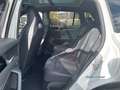 Volkswagen Tiguan TDI DSG 4M R-LINE BlackStyle Pano H&K AHK Weiß - thumbnail 10