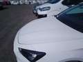 SEAT Leon 2.0TDI S&S Style 115 Blanco - thumbnail 14