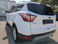 Ford Kuga Titanium Weiß - thumbnail 4