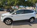 Ford Kuga Titanium Weiß - thumbnail 2