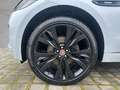 Jaguar F-Pace Diesel 30d AWD R-Sport Weiß - thumbnail 9