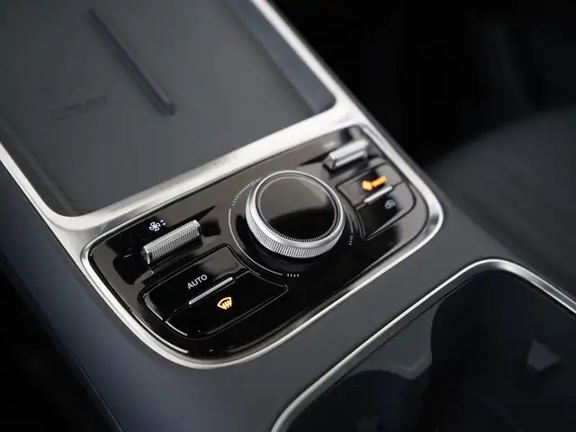 Geely Starray Em-I view 10