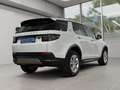 Land Rover Discovery Sport 1.Hand, Scheckheft Weiß - thumbnail 3
