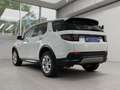 Land Rover Discovery Sport 1.Hand, Scheckheft Weiß - thumbnail 6