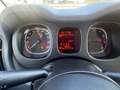 Fiat Panda Panda III 2021 1.0 firefly hybrid s Black - thumbnail 9
