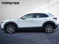 Mazda CX-30 G122 COMF+ SO/ST/TE 360° NAVI LED HUD BOSE Weiß - thumbnail 2