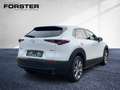Mazda CX-30 G122 COMF+ SO/ST/TE 360° NAVI LED HUD BOSE Weiß - thumbnail 3