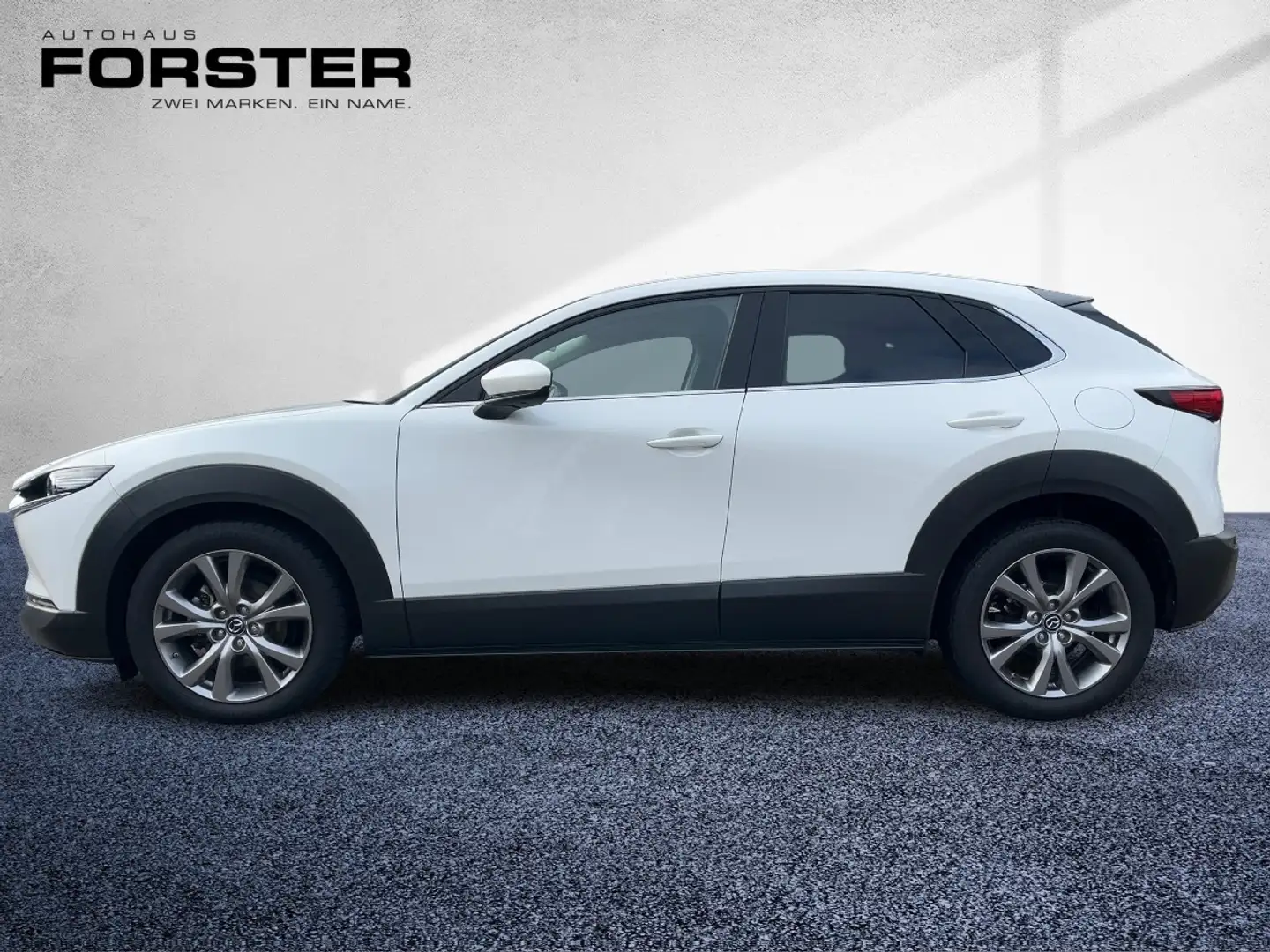 Mazda CX-30 G122 COMF+ SO/ST/TE 360° NAVI LED HUD BOSE Weiß - 2