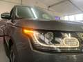 Land Rover Range Rover Range Rover 3.0 tdV6 Vogue auto Gris - thumbnail 4