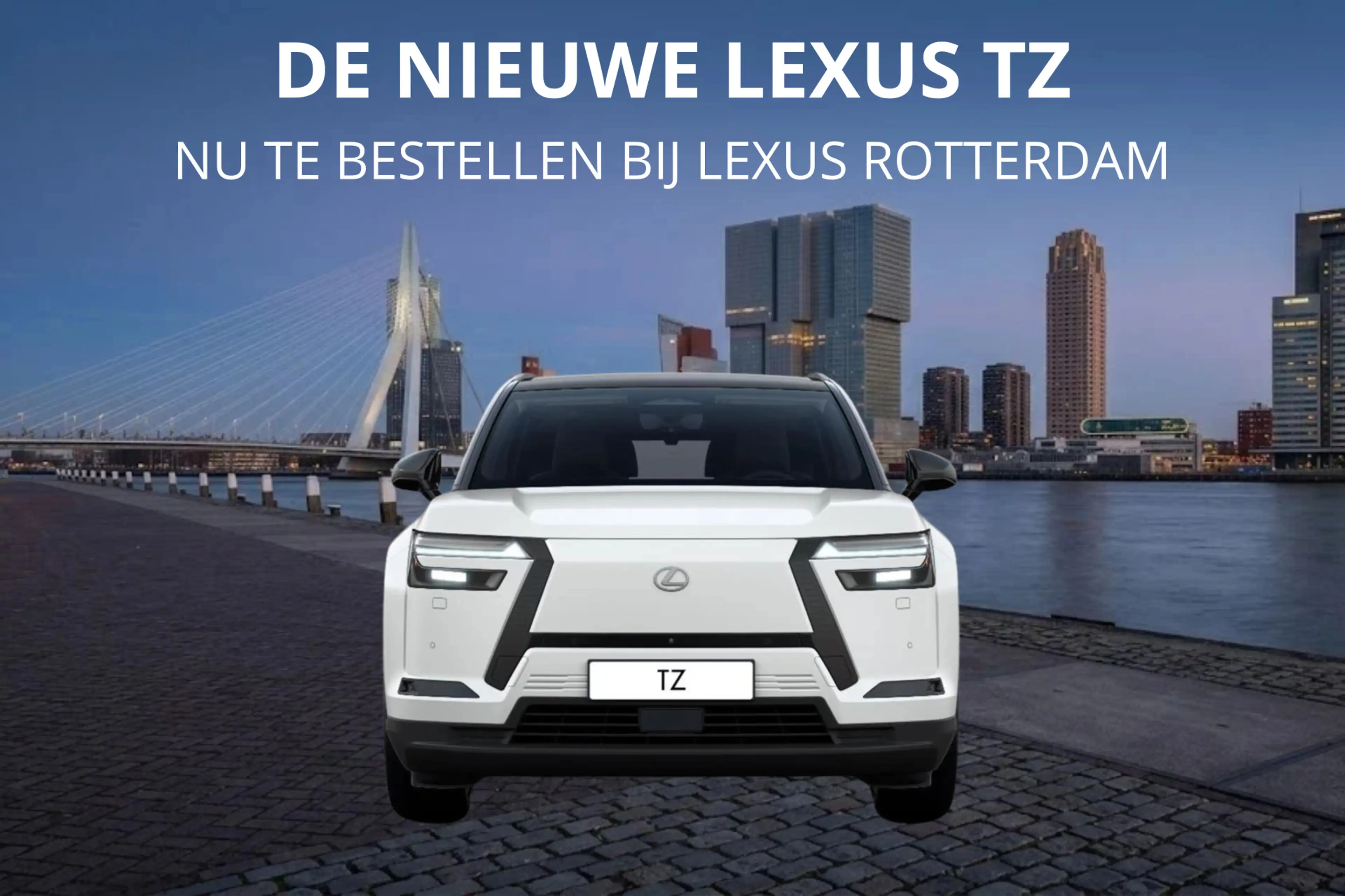 Lexus Others TZ 550e President Line 95,8 kWh | Mark Levinson | — photo 8