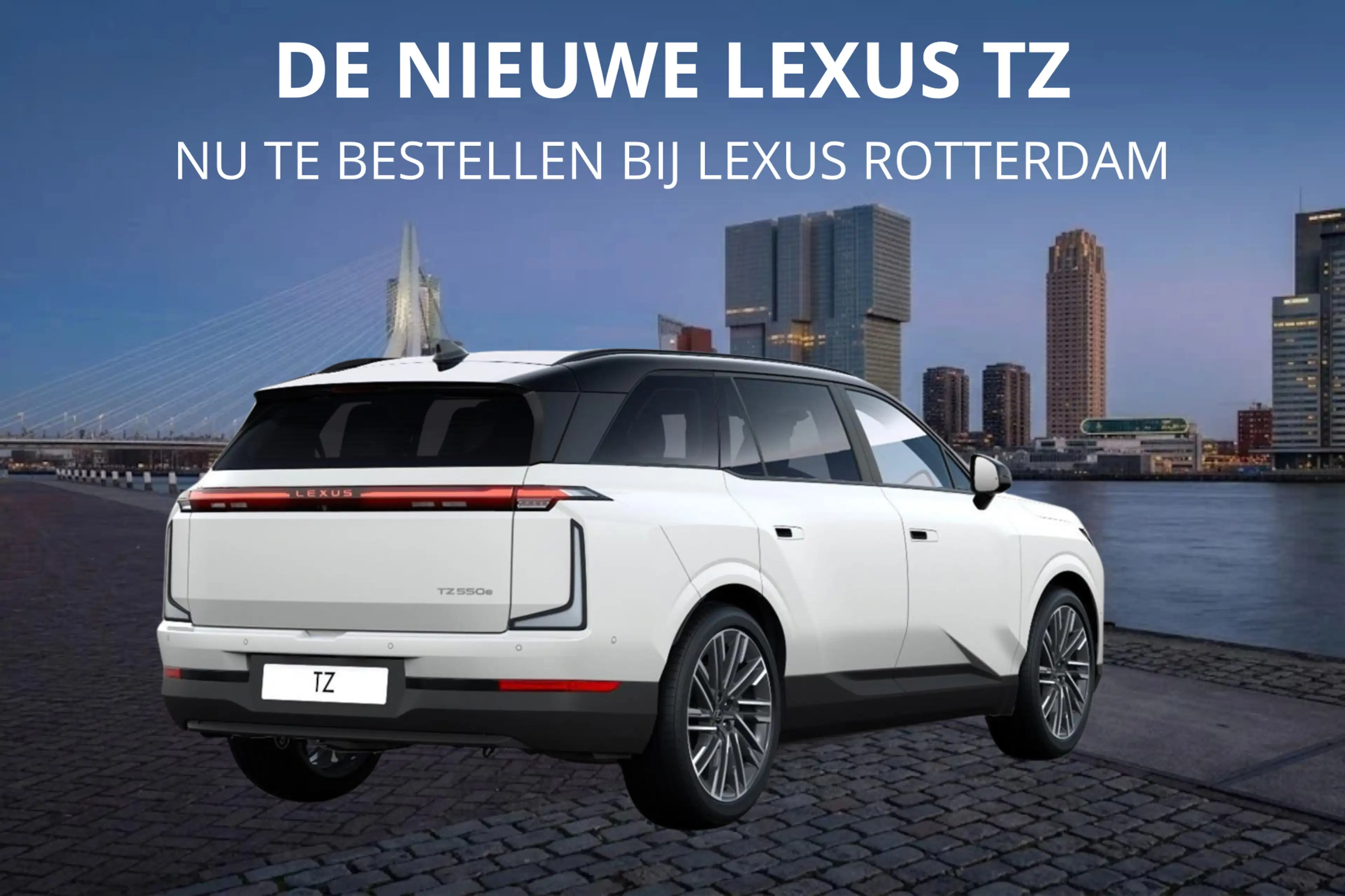 Lexus Others TZ 550e President Line 95,8 kWh | Mark Levinson | — photo 5