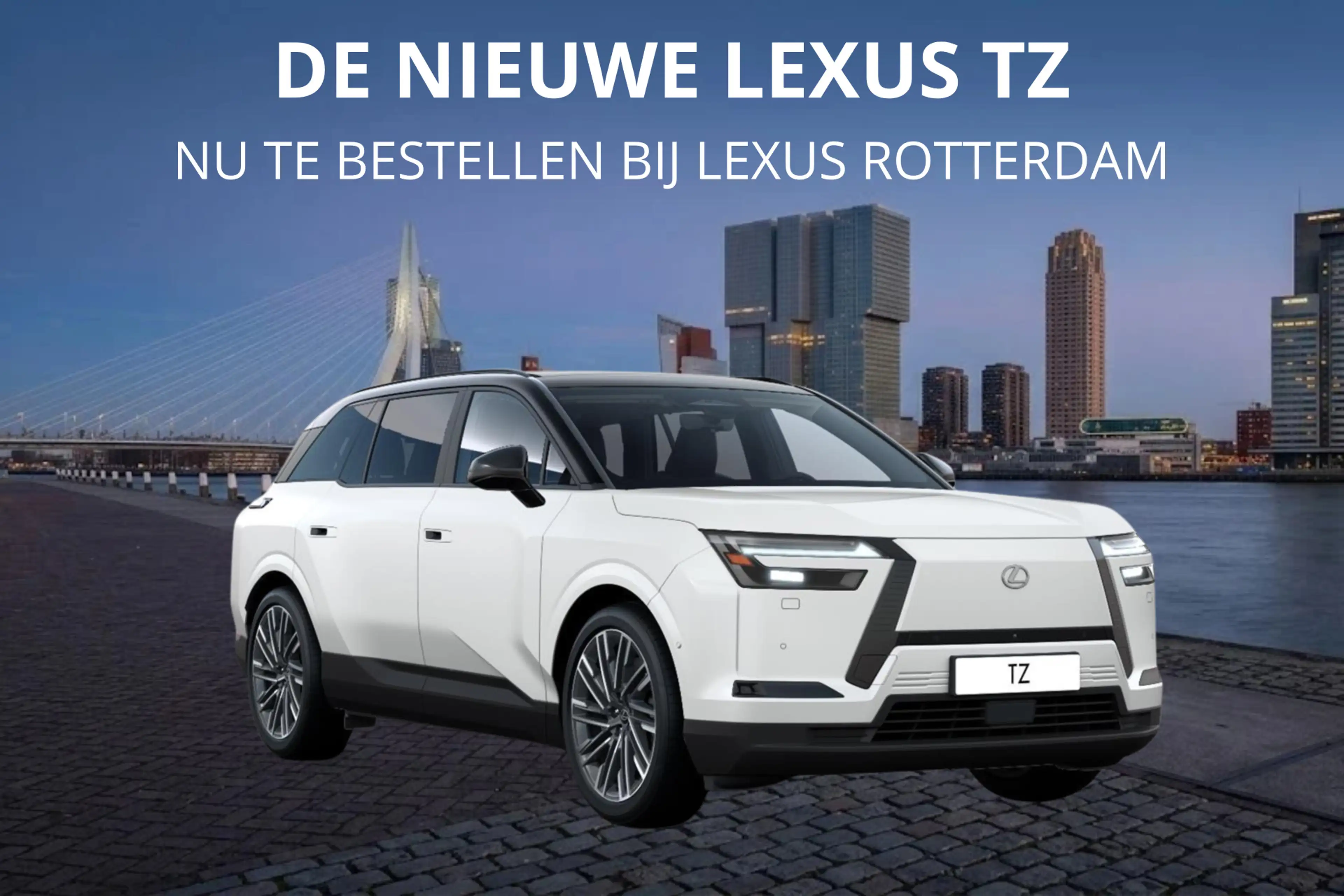 Lexus Others TZ 550e President Line 95,8 kWh | Mark Levinson | — photo 7