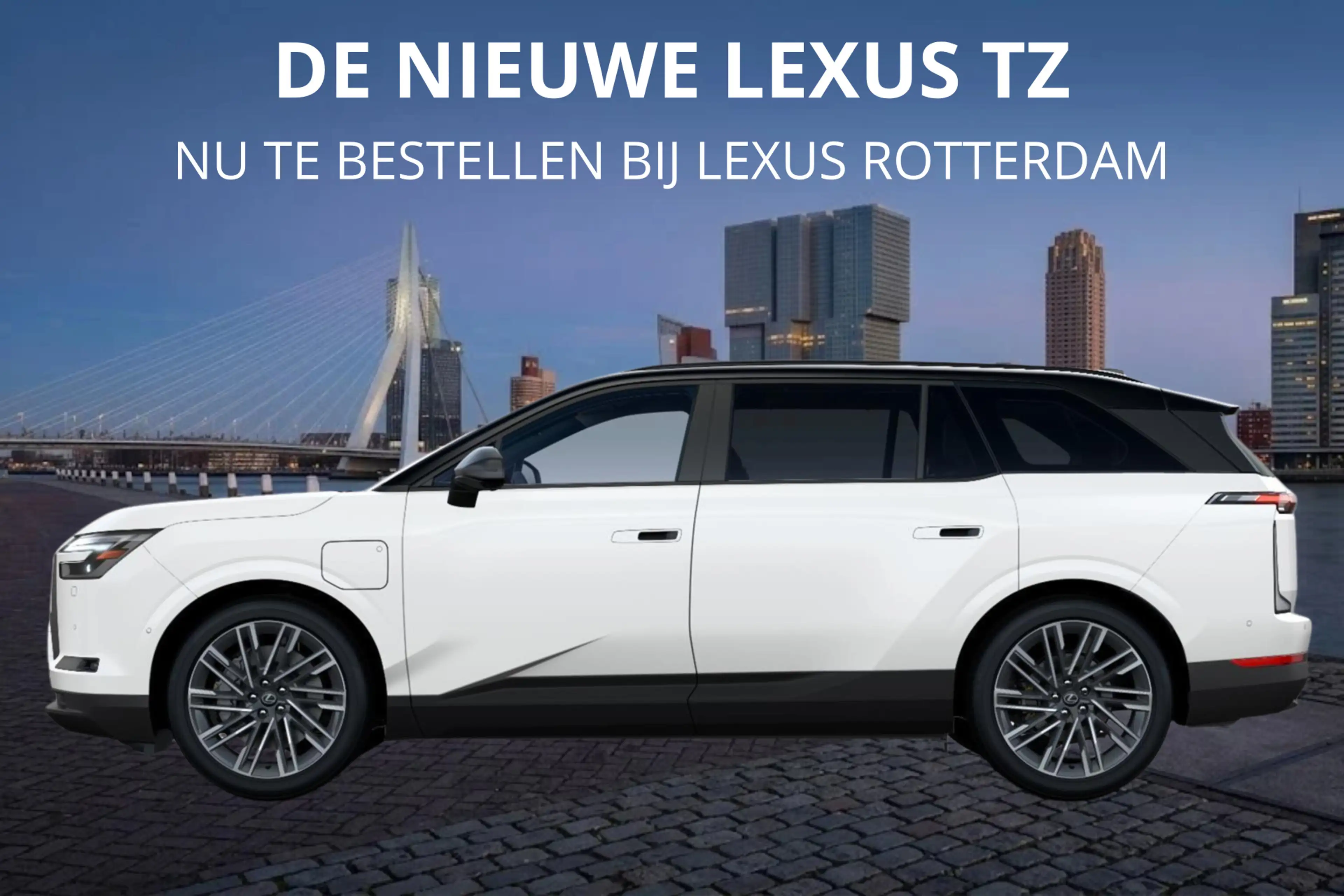 Lexus Others TZ 550e President Line 95,8 kWh | Mark Levinson | — photo 2