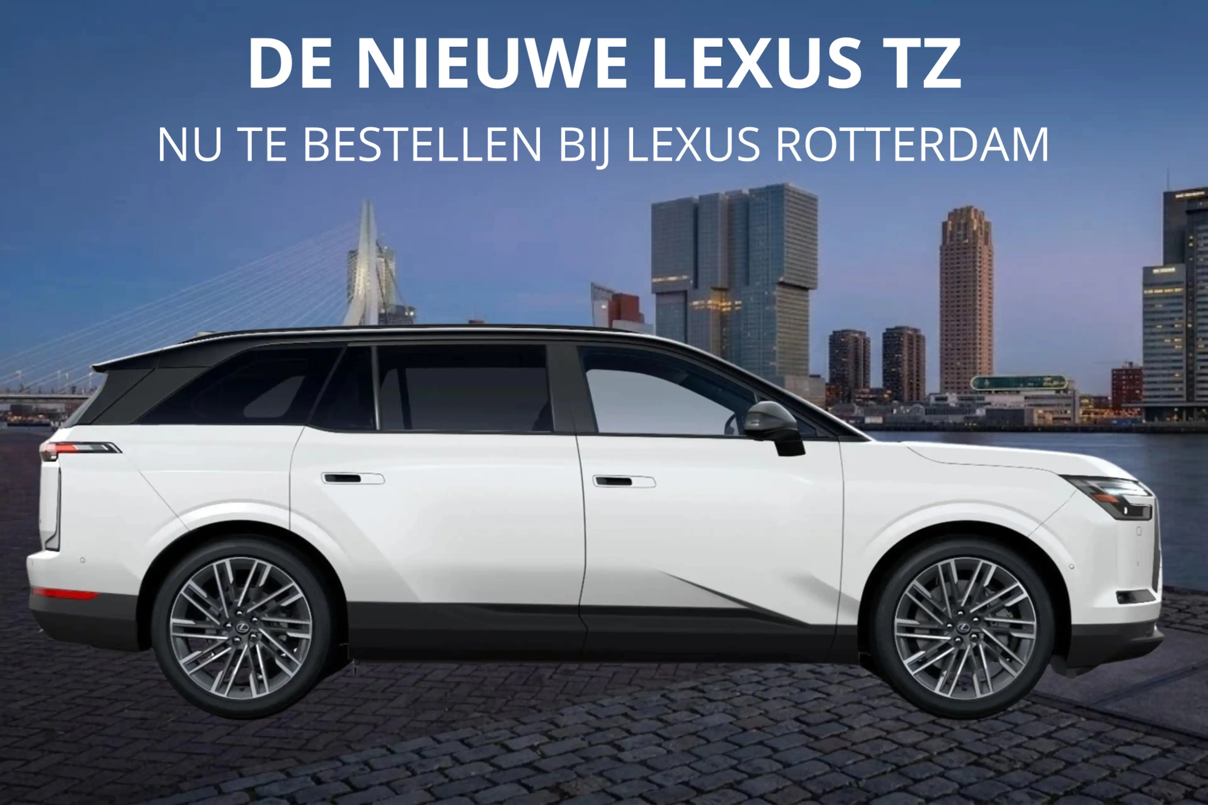 Lexus Others TZ 550e President Line 95,8 kWh | Mark Levinson | — photo 6