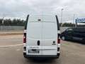 Fiat Talento Weiß - thumbnail 3