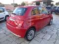 Fiat 500 1000 HYBRID 70 CV CARPLAY CLIMAUTO PDC TETTO Rosso - thumbnail 4