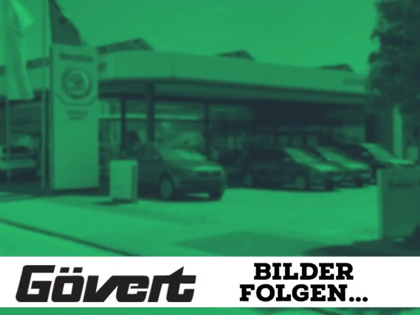Skoda Scala 1.0 TSI DSG AHK Klima Sitzhzg Bluetooth LED Blau - 1