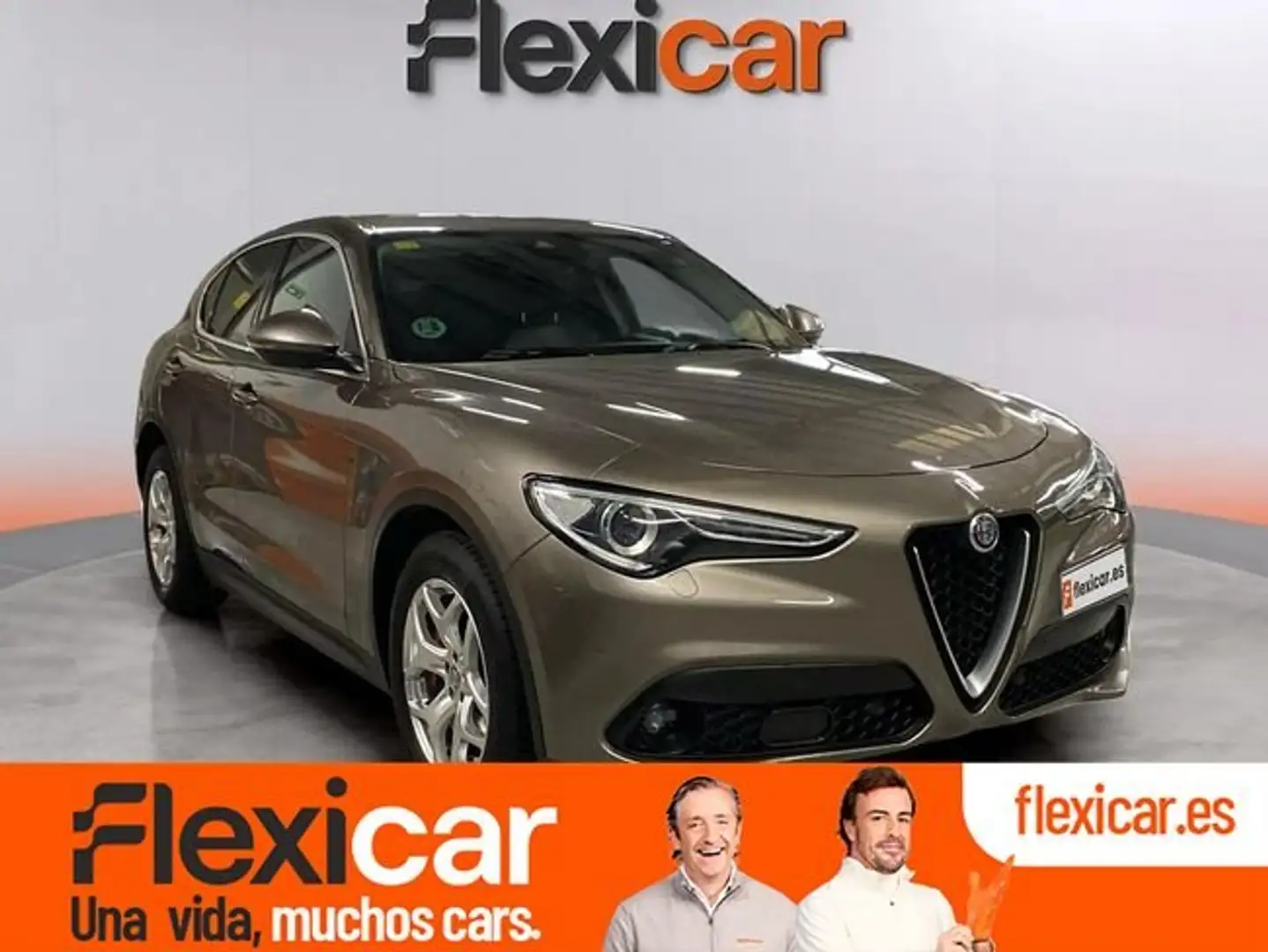 Alfa Romeo Stelvio 2.2 Diésel 110kW (150CV) Executive RWD Gris - 1