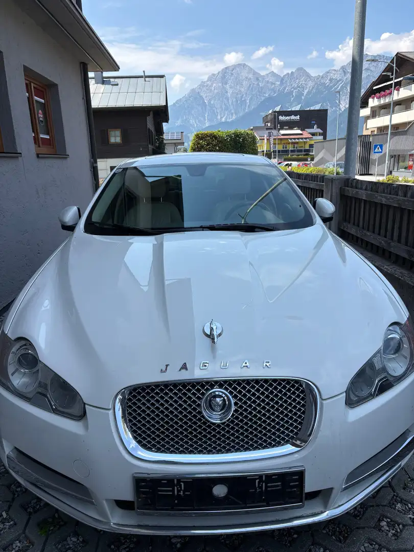 Jaguar XF XF 3,0 Diesel Premium Luxury Premium Luxury Weiß - 1