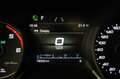 Alfa Romeo Stelvio 2.2 Turbodiesel 190 CV AT8 Q4 Business Noir - thumbnail 8