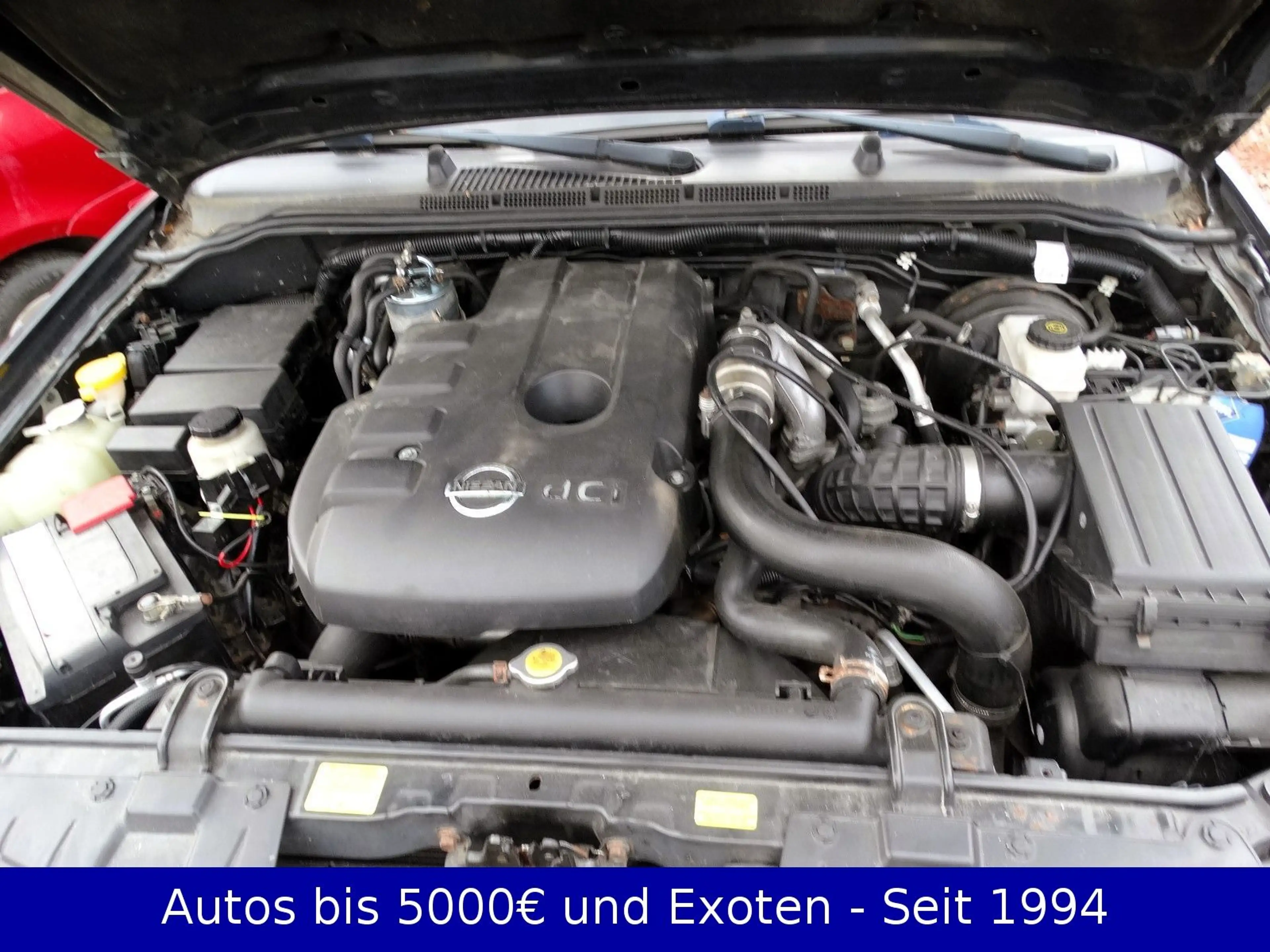 Nissan Navara - Guter Rahmen, siehe Bilder — photo 12