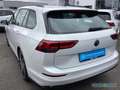 Volkswagen Golf VIII Variant R-Line 2.0 TDI DSG Pano ACC Weiß - thumbnail 10