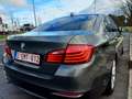 BMW 518 518d Aut. Luxury Line Szary - thumbnail 2
