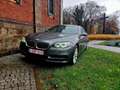BMW 518 518d Aut. Luxury Line Szary - thumbnail 4