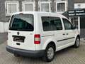 Volkswagen Caddy NFZ 2.0 SDI Kombi *AHK*KLIMA*5-SITZ*TÜV Weiß - thumbnail 6