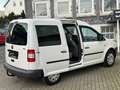 Volkswagen Caddy NFZ 2.0 SDI Kombi *AHK*KLIMA*5-SITZ*TÜV Weiß - thumbnail 7