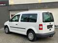 Volkswagen Caddy NFZ 2.0 SDI Kombi *AHK*KLIMA*5-SITZ*TÜV Weiß - thumbnail 4