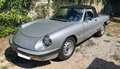 Alfa Romeo Spider Terza Serie Aerodinamica 2.0 Veloce 128c Silber - thumbnail 1