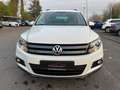 Volkswagen Tiguan Trend & Fun (AHK-Tempomat-PANO-TÜV NEU) Bianco - thumbnail 2