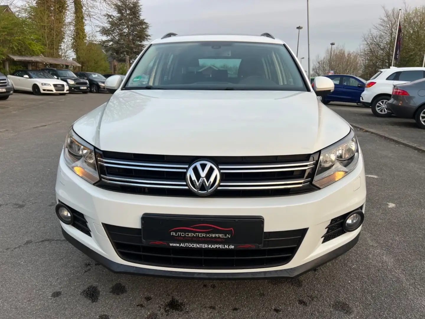 Volkswagen Tiguan Trend & Fun (AHK-Tempomat-PANO-TÜV NEU) Bianco - 2