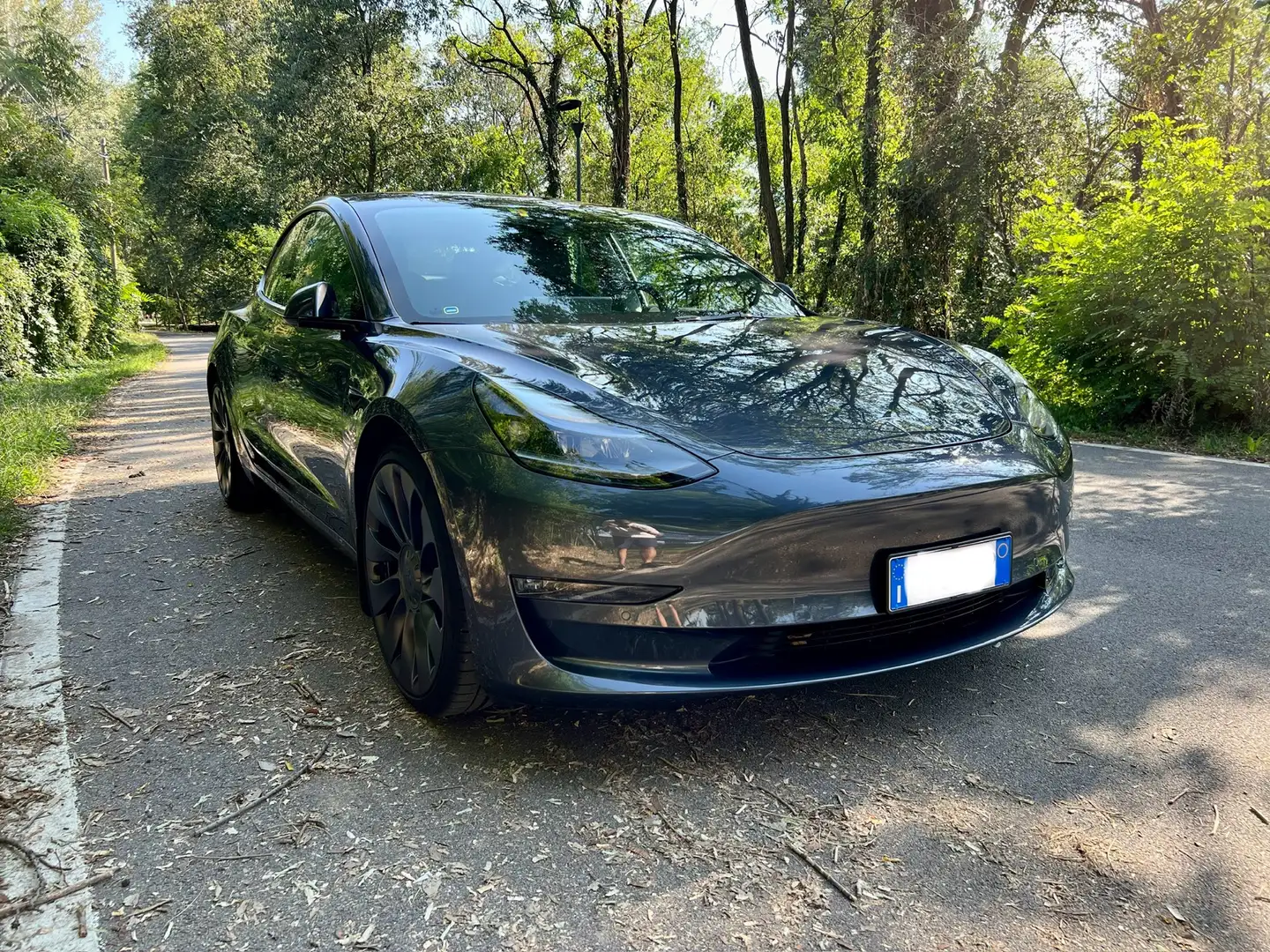 Tesla Model 3 Performance Dual Motor awd Grigio - 2