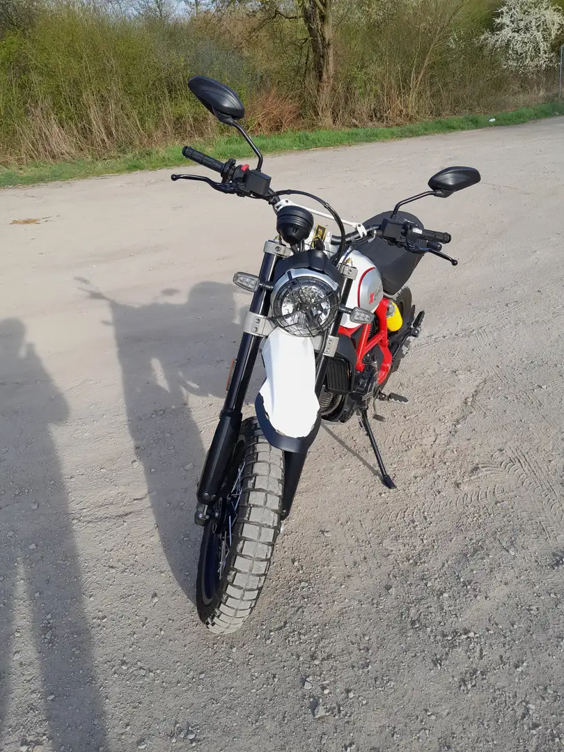 Ducati Scrambler desert sled Blanc - 2