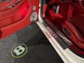 Bentley Continental GTC Cabrio First Edition LIMITED / Glacier White / Ho Blanc - thumbnail 24