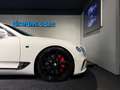 Bentley Continental GTC Cabrio First Edition LIMITED / Glacier White / Ho Blanc - thumbnail 9