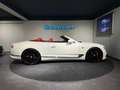 Bentley Continental GTC Cabrio First Edition LIMITED / Glacier White / Ho Blanc - thumbnail 8