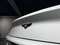 Bentley Continental GTC Cabrio First Edition LIMITED / Glacier White / Ho Blanc - thumbnail 19