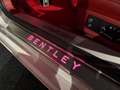 Bentley Continental GTC Cabrio First Edition LIMITED / Glacier White / Ho Blanc - thumbnail 26