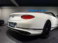 Bentley Continental GTC Cabrio First Edition LIMITED / Glacier White / Ho Blanc - thumbnail 18