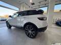 Land Rover Range Rover Evoque 2.0 TD4 5P PURE / NAVIGATORE / 20'' Blanc - thumbnail 6