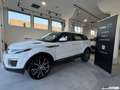 Land Rover Range Rover Evoque 2.0 TD4 5P PURE / NAVIGATORE / 20'' Blanc - thumbnail 2