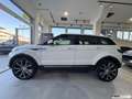 Land Rover Range Rover Evoque 2.0 TD4 5P PURE / NAVIGATORE / 20'' Blanc - thumbnail 5