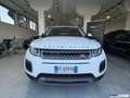 Land Rover Range Rover Evoque 2.0 TD4 5P PURE / NAVIGATORE / 20'' Blanc - thumbnail 4