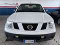 Nissan Navara Navara 2005 d.cab 2.5 dci XE 174cv Blanc - thumbnail 2